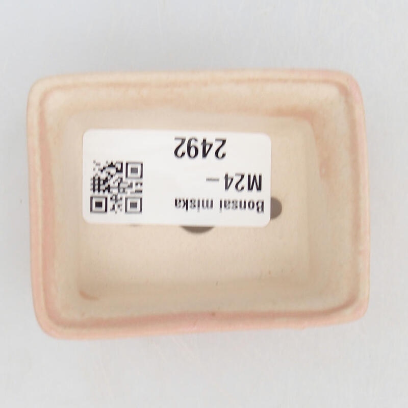 Mini bol bonsaï 6 x 4,5 x 2,5 cm, rose