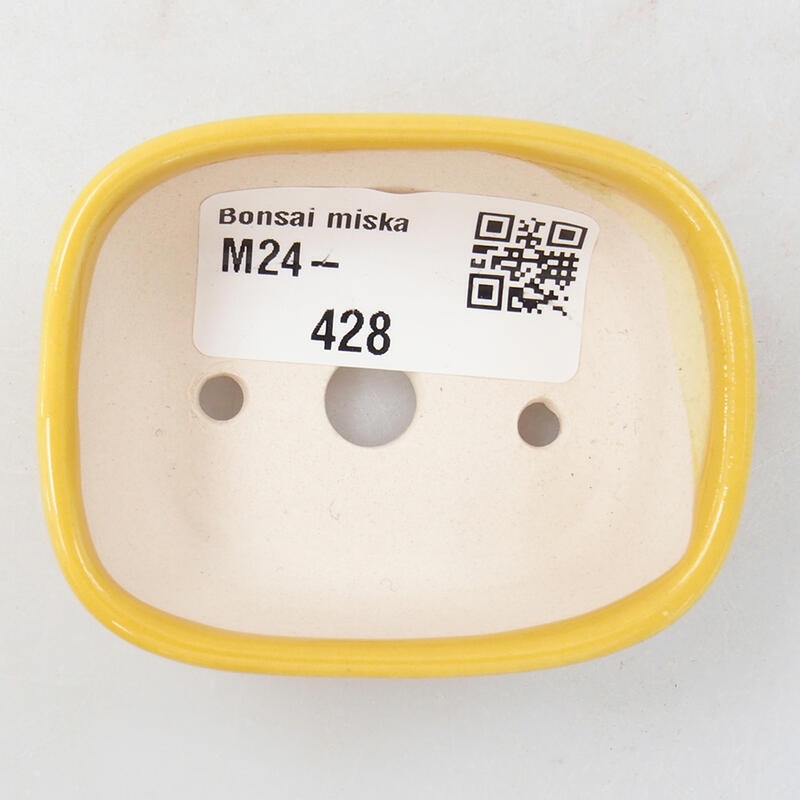 Mini bol bonsaï 6 x 4,5 x 2,5 cm, jaune