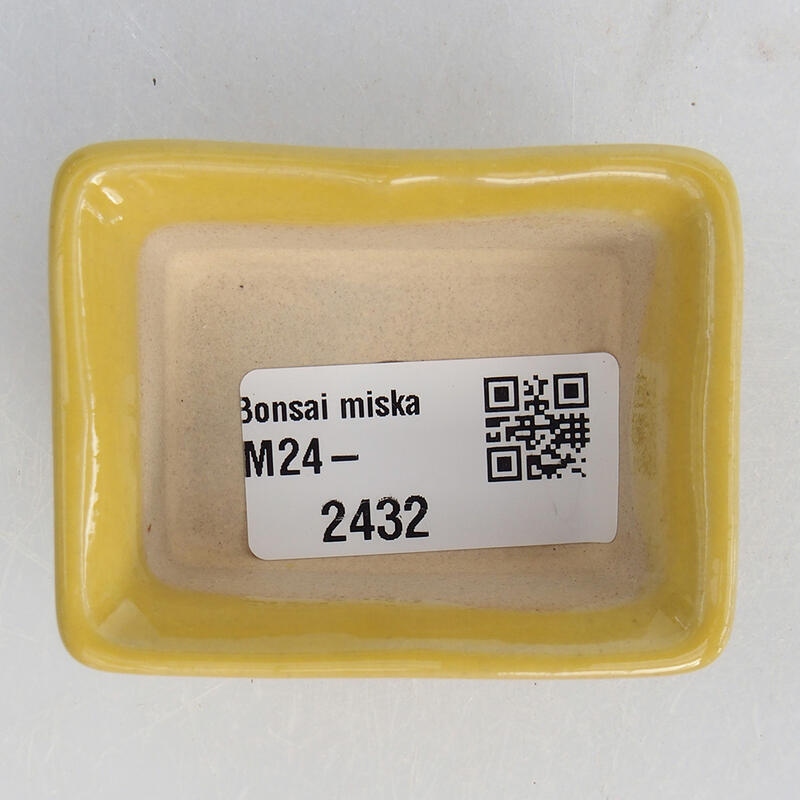 Mini bol bonsaï 6 x 4,5 x 2,5 cm, jaune