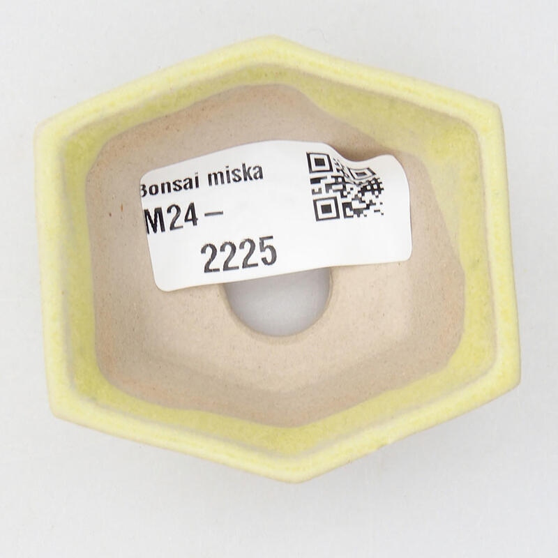Mini bol bonsaï 6 x 5,5 x 2 cm, jaune