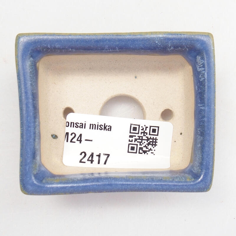 Mini bol bonsaï 6 x 5 x 2,5 cm, couleur bleu