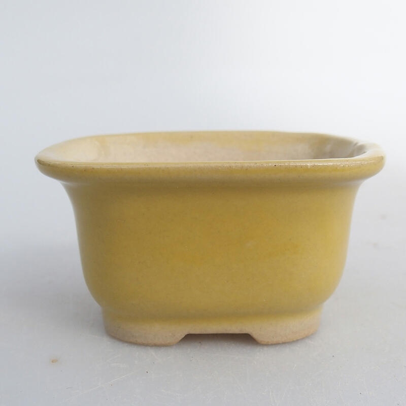 Mini bol bonsaï 6 x 5 x 3 cm, jaune