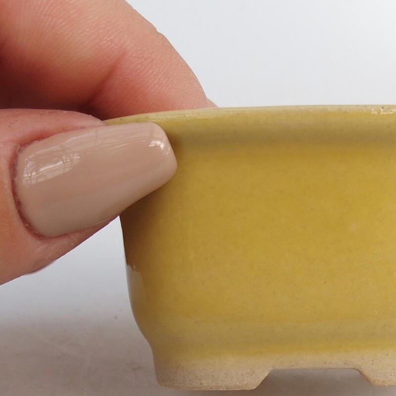 Mini bol bonsaï 6 x 5 x 3 cm, jaune