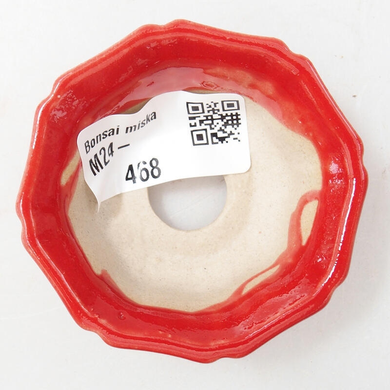 Mini bol bonsaï 6 x 6 x 2,5 cm, couleur rouge
