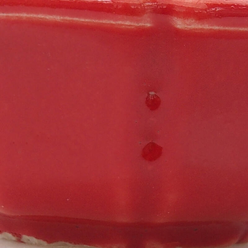Mini bol bonsaï 6 x 6 x 2,5 cm, couleur rouge