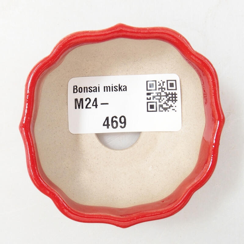 Mini bol bonsaï 6 x 6 x 3 cm, couleur rouge