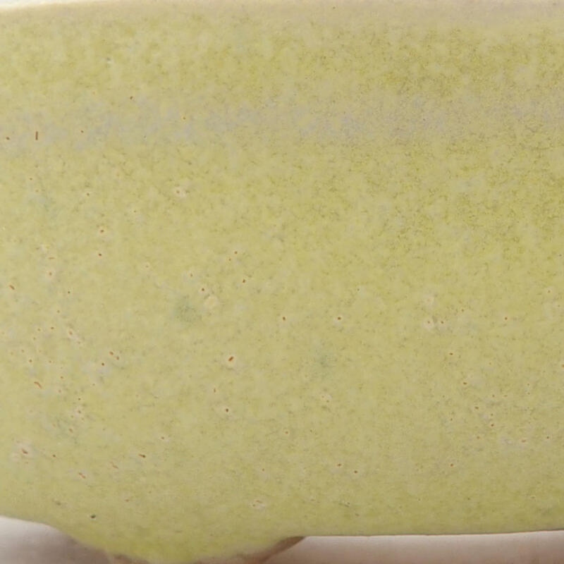 Mini bol bonsaï 7 x 5 x 2 cm, jaune