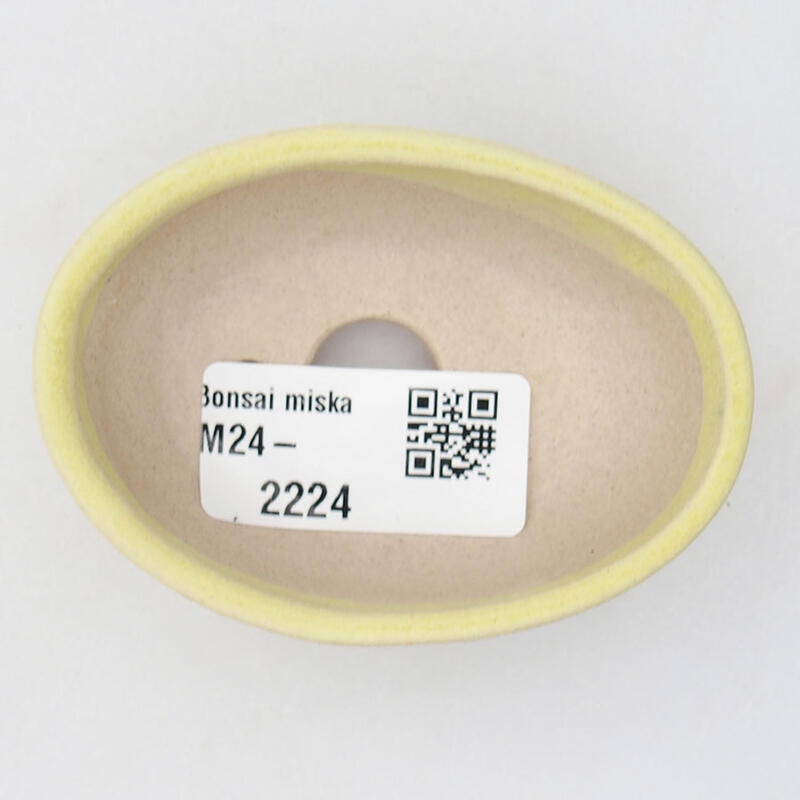 Mini bol bonsaï 7 x 5 x 2 cm, jaune