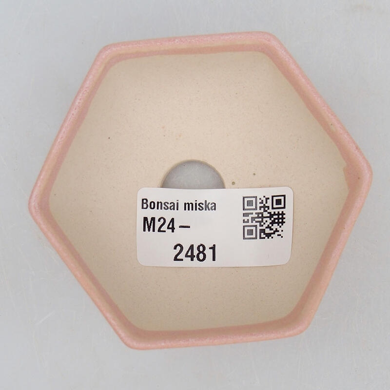 Mini bol bonsaï 7 x 6,5 x 3 cm, rose