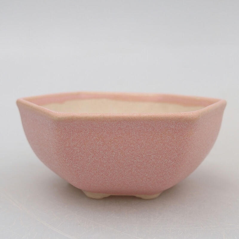 Mini bol bonsaï 7 x 6,5 x 3 cm, rose