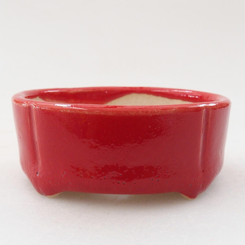 Mini bol bonsaï 7 x 7 x 3 cm, couleur rouge