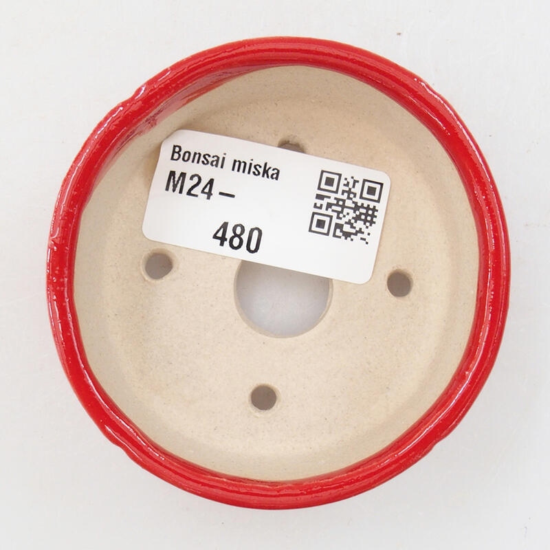 Mini bol bonsaï 7 x 7 x 3 cm, couleur rouge