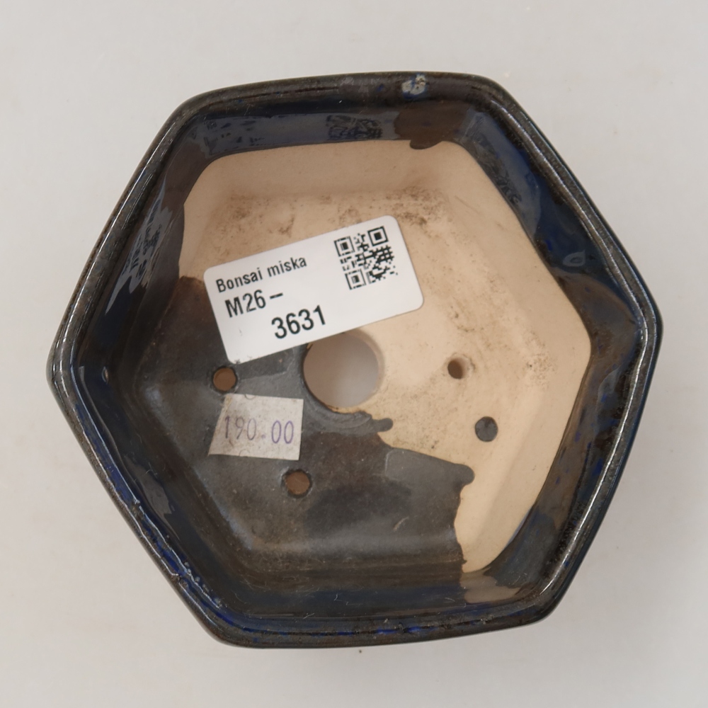 Bol à bonsaï en céramique 10 x 9 x 5 cm, couleur bleu