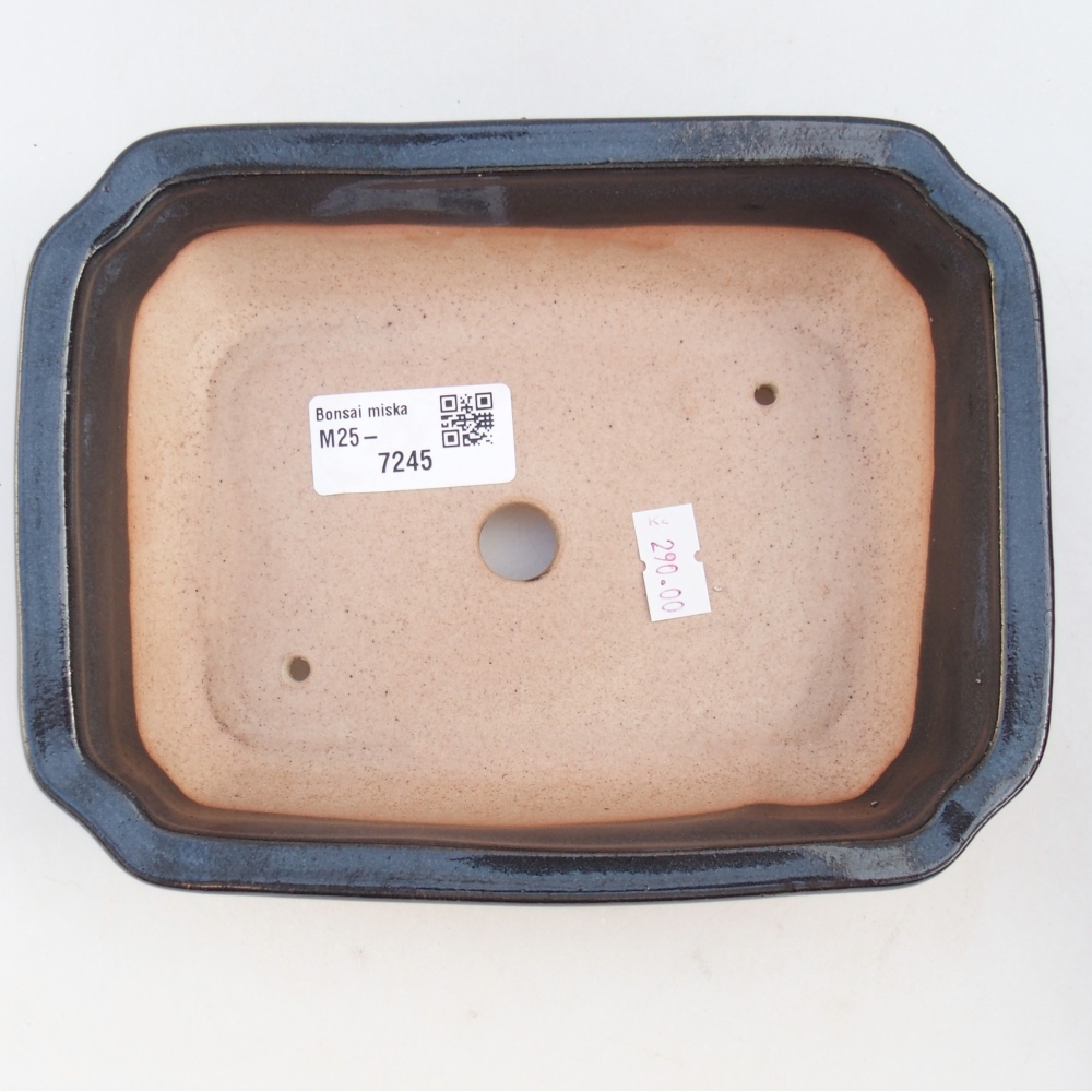 Bol à bonsaï en céramique 18 x 13,5 x 5 cm, couleur noire