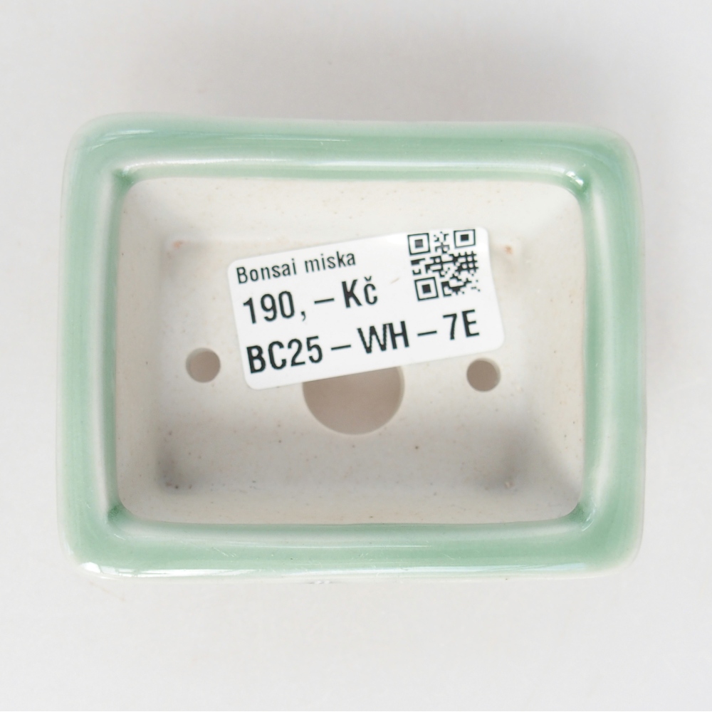 Mini bol bonsaï 8 x 6 x 3 cm, vert