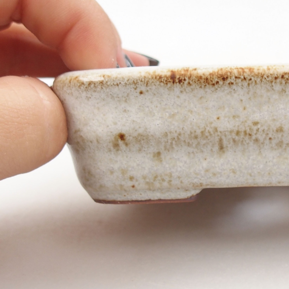 Bol à bonsaï en céramique 22 x 17 x 5 cm, vert