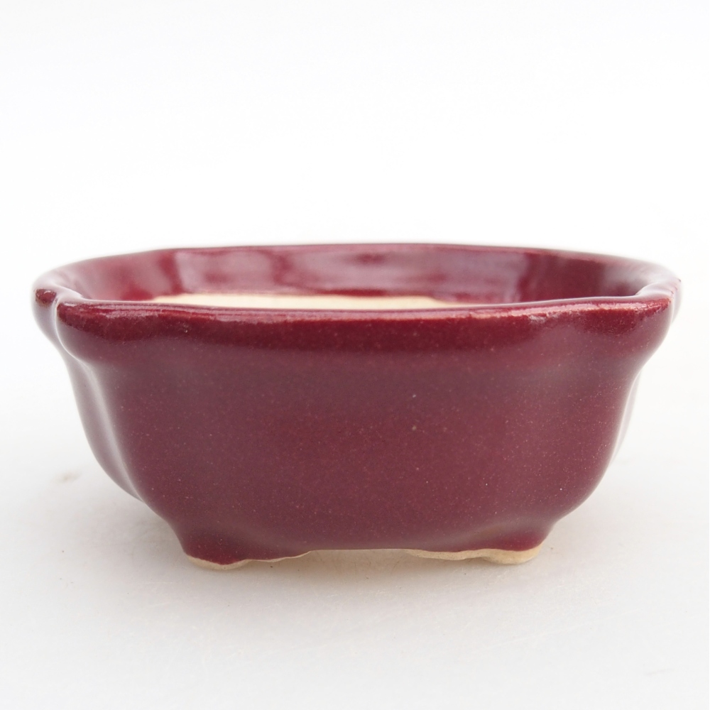 Mini bol bonsaï 6,5 x 6,5 x 3 cm, bordeaux
