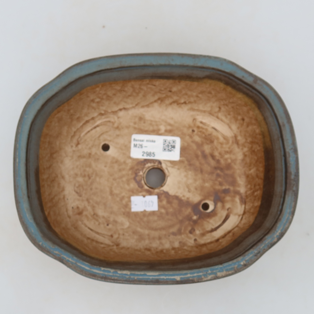 Pot à bonsaï en céramique 20 x 16,5 x 7 cm, couleur bleue