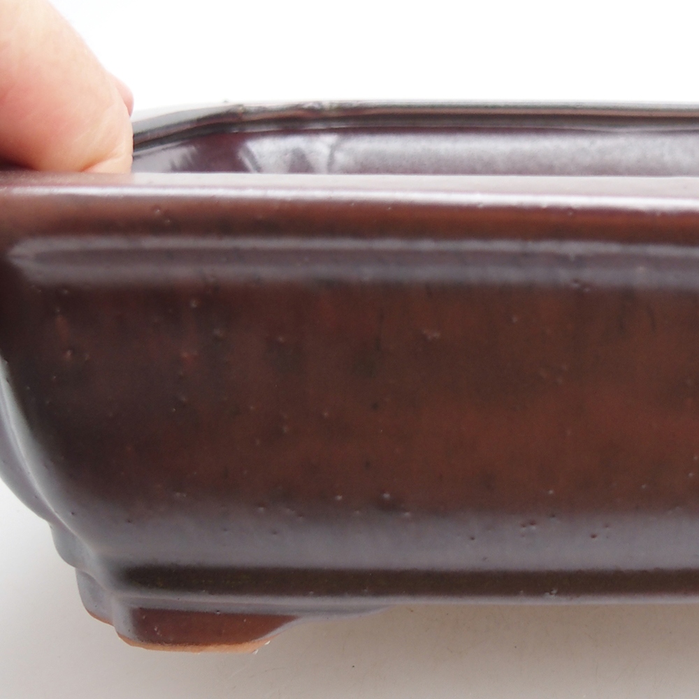 Bol à bonsaï en céramique 27 x 21 x 7 cm, couleur noir rouge