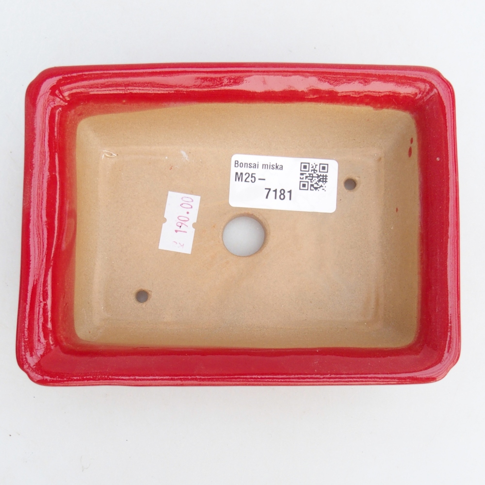 Bol à bonsaï en céramique 14 x 10,5 x 4 cm, couleur rouge