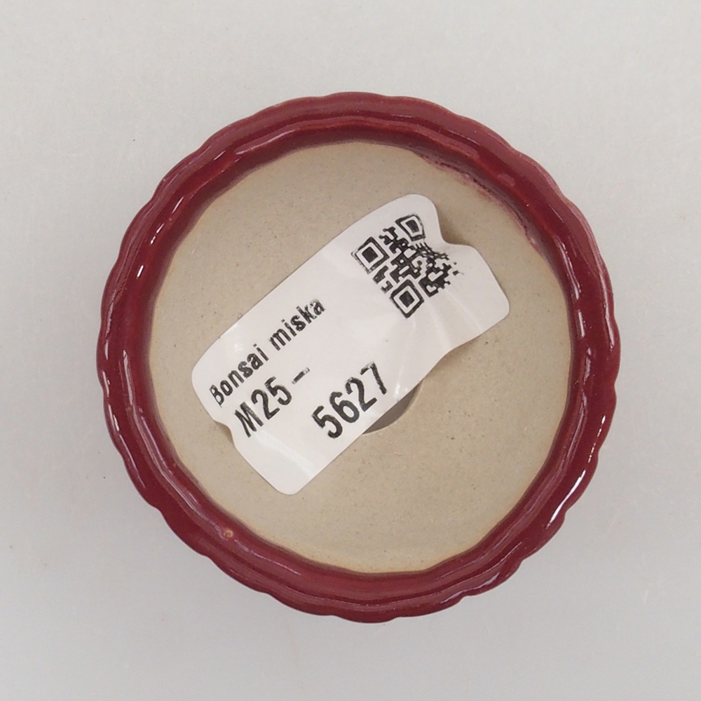 Mini bol bonsaï 5 x 5 x 2,5 cm, couleur bordeaux