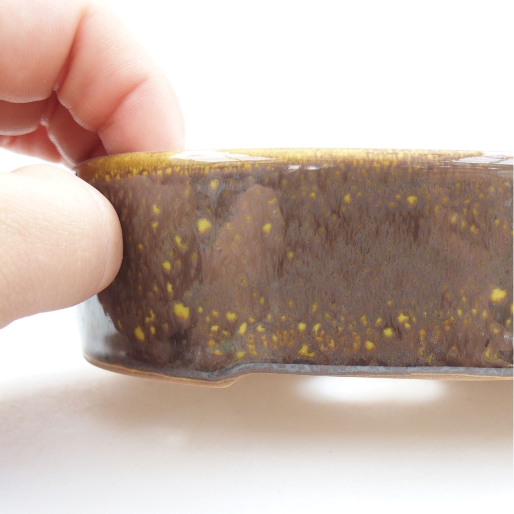 Bol à bonsaï en céramique 22 x 17 x 5 cm, vert