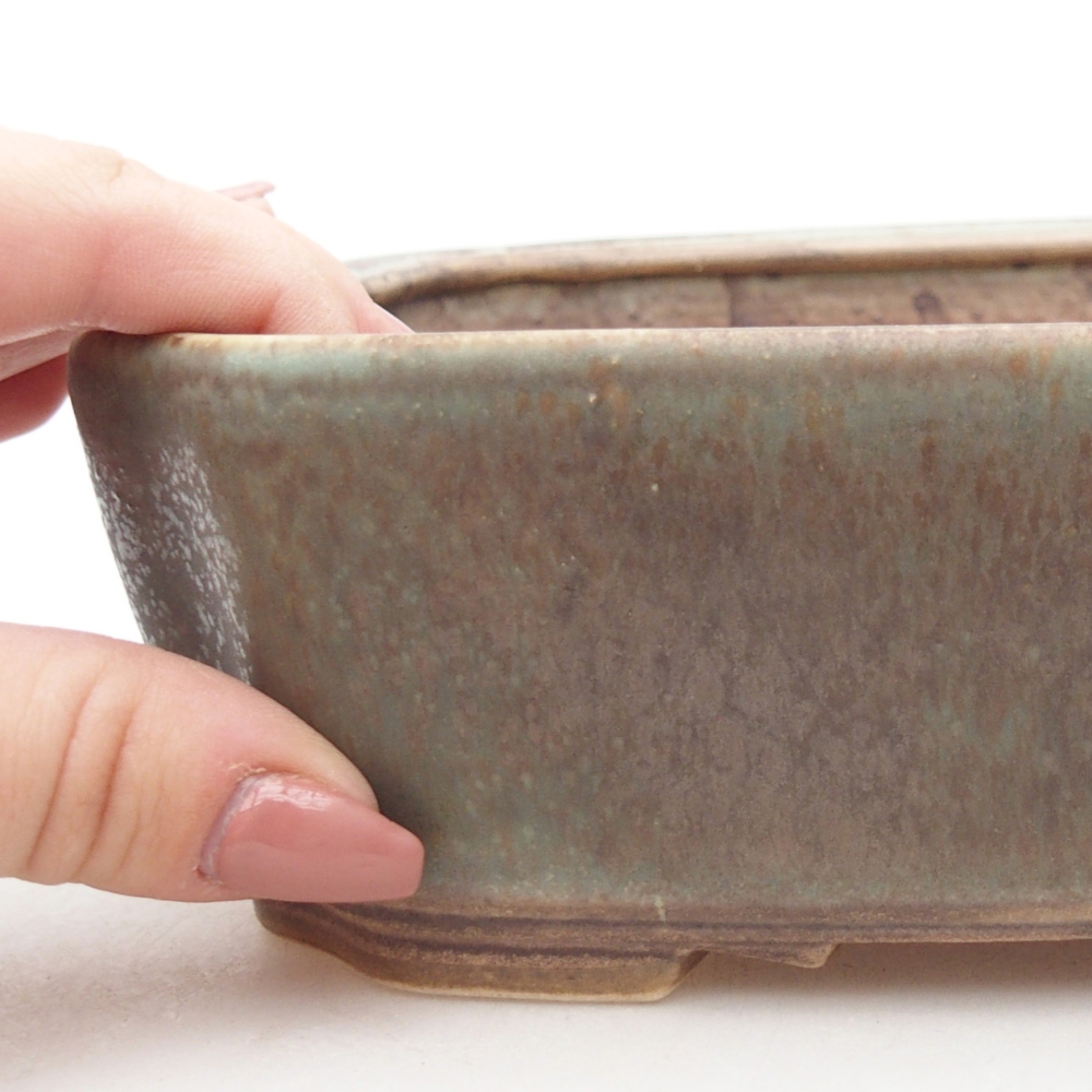 Bol à bonsaï en céramique 21 x 18 x 6 cm, vert