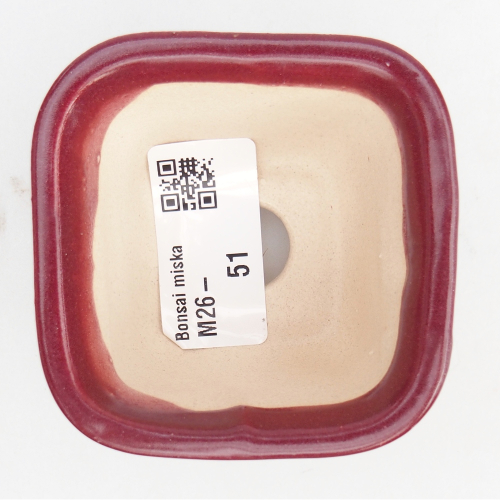 Mini bol bonsaï 6 x 6 x 4,5 cm, bordeaux