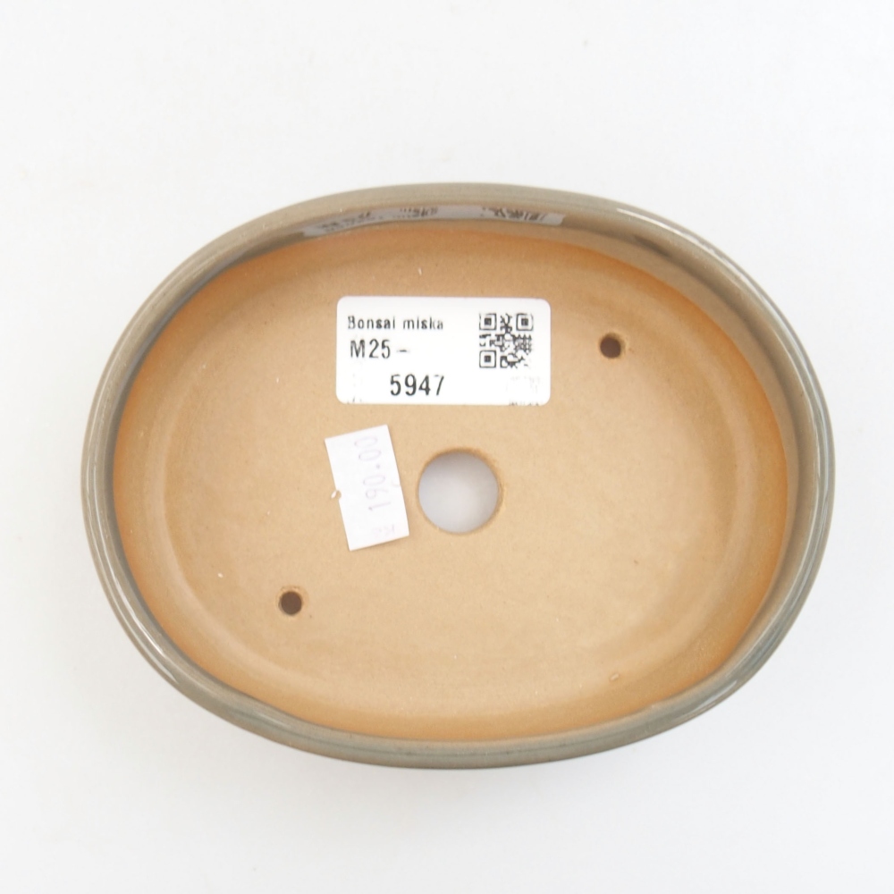 Bol à bonsaï en céramique 22 x 17 x 5 cm, vert