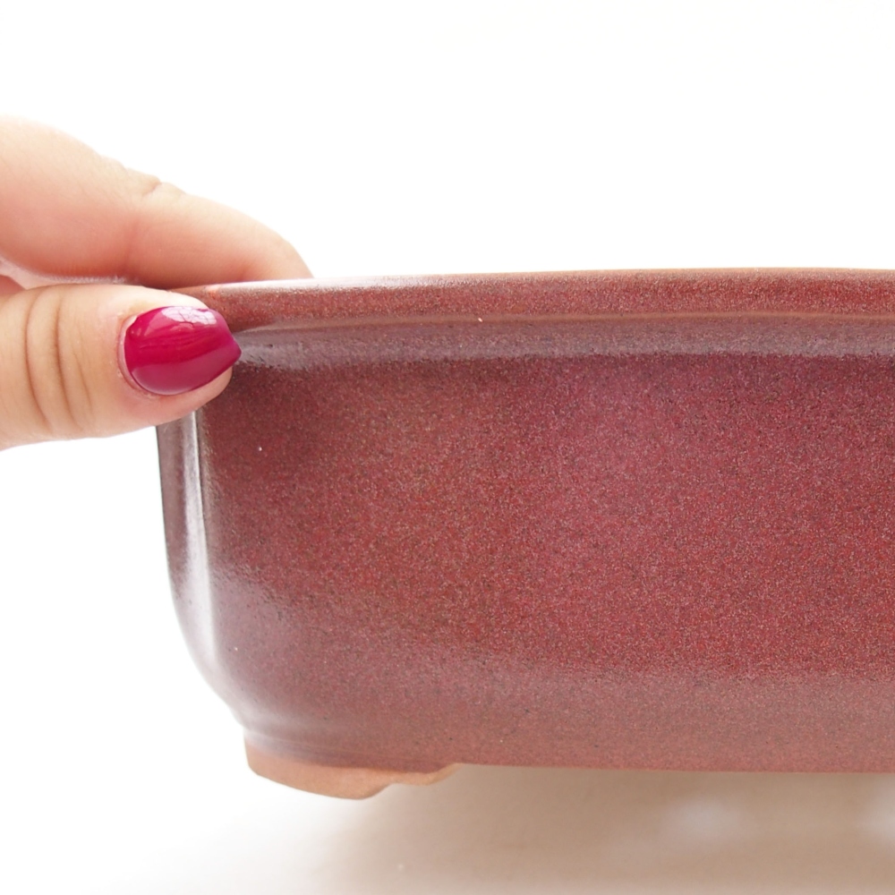 Bol à bonsaï en céramique 24,5 x 21 x 7 cm, couleur bordeaux