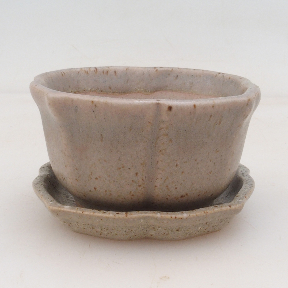 Bol Bonsaï + soucoupe H95 - beige