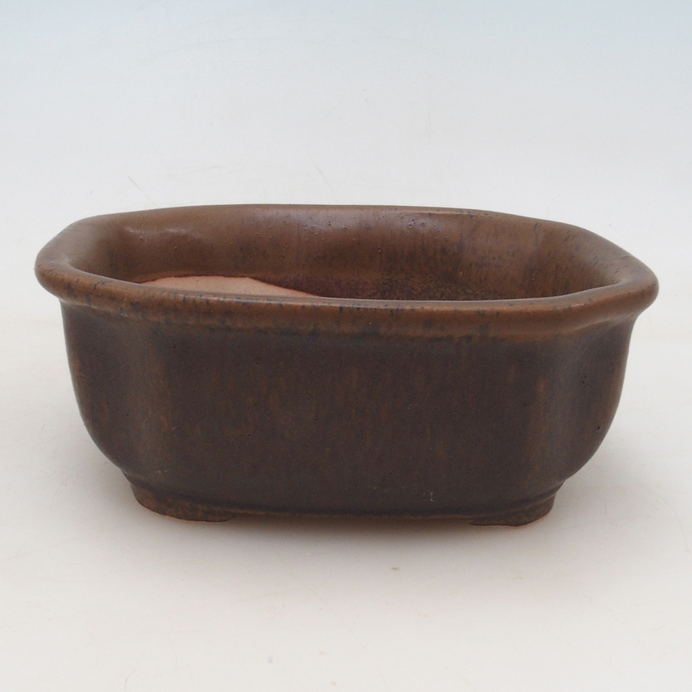 Bol à bonsaï H31 - 14 x 12 x 5,5 cm - brun