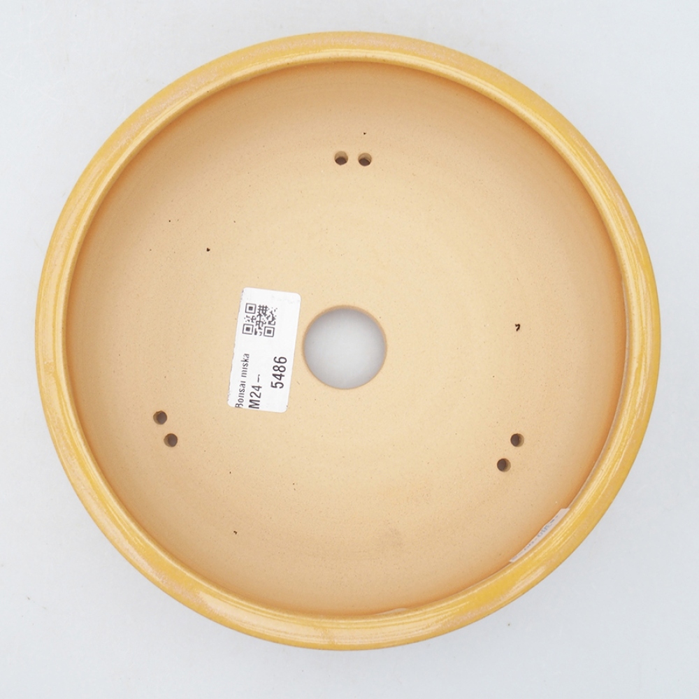 Bol à bonsaï en céramique 18,5 x 18,5 x 6 cm, jaune