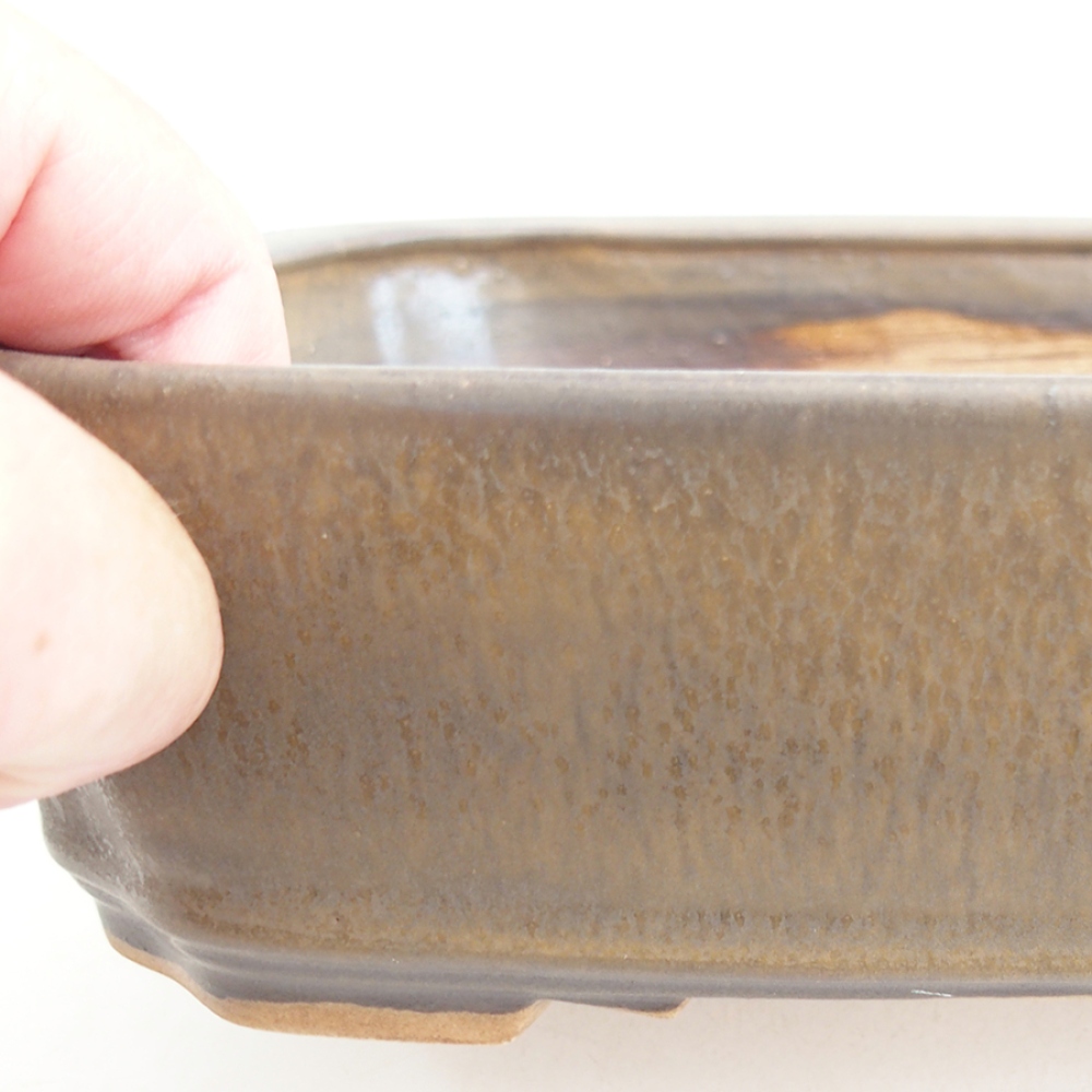 Bol à bonsaï en céramique 21 x 18 x 6 cm, brun