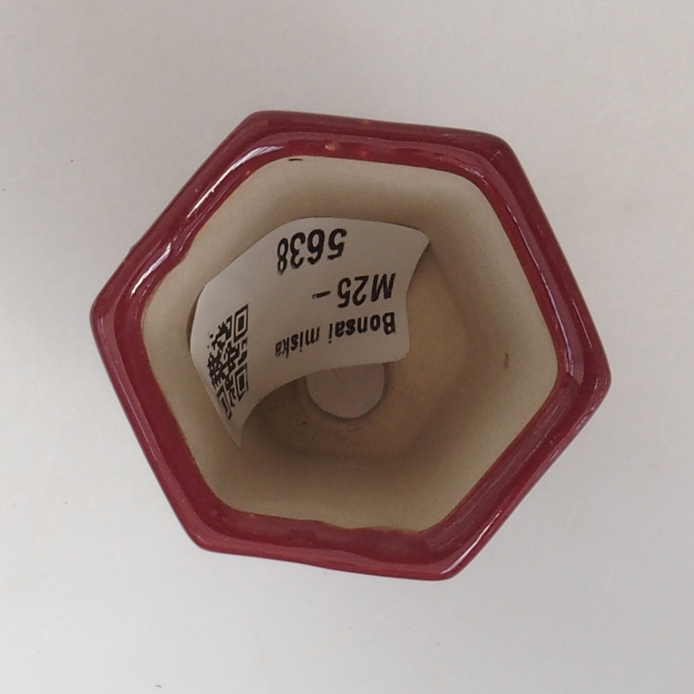 Mini bol bonsaï 4,5 x 4 x 6 cm, bordeaux