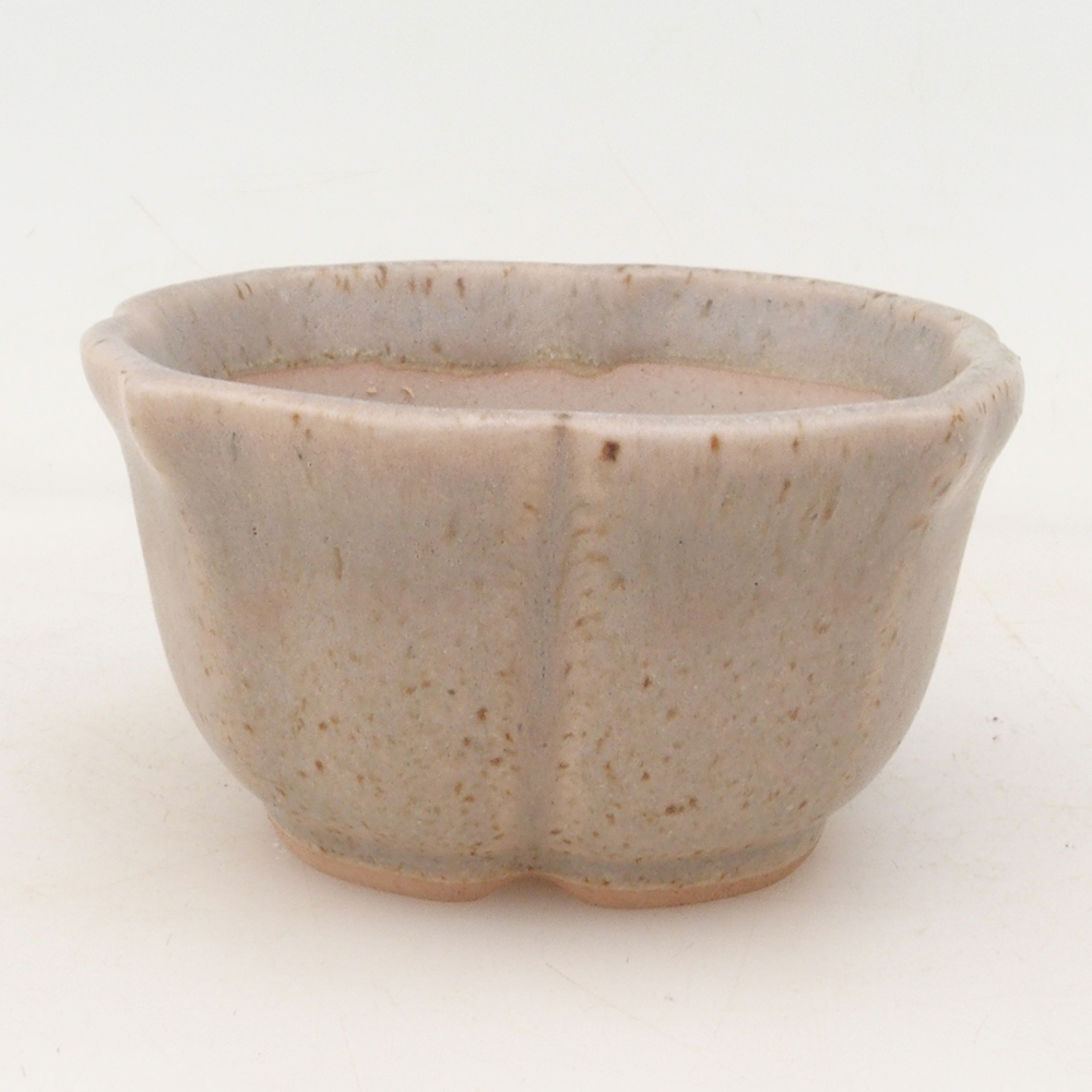 Coupe bonsaï H95 - 7,5 x 7,5 x 4 cm - beige
