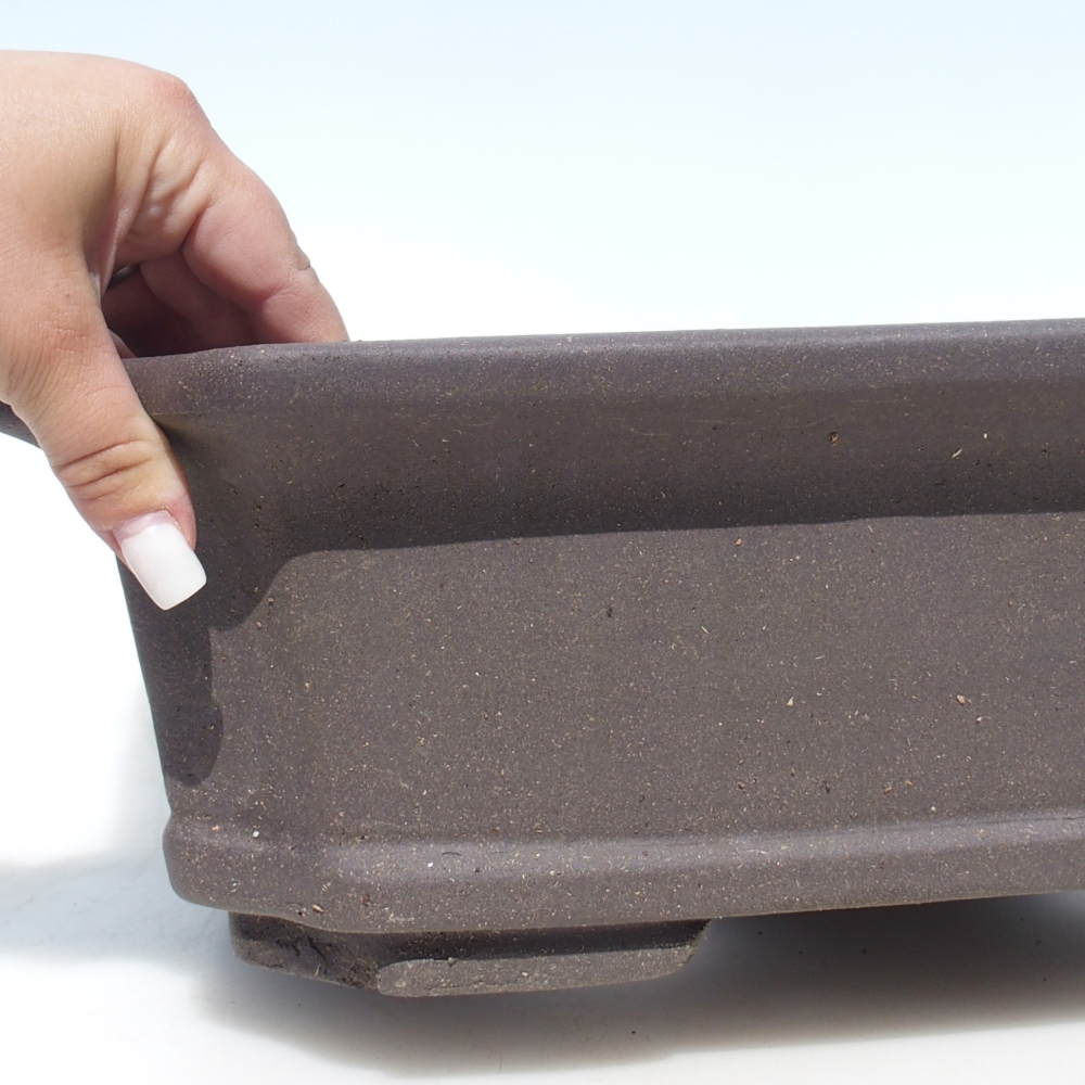 Bol pour bonsaïs 40 x 30 x 12 cm - brun