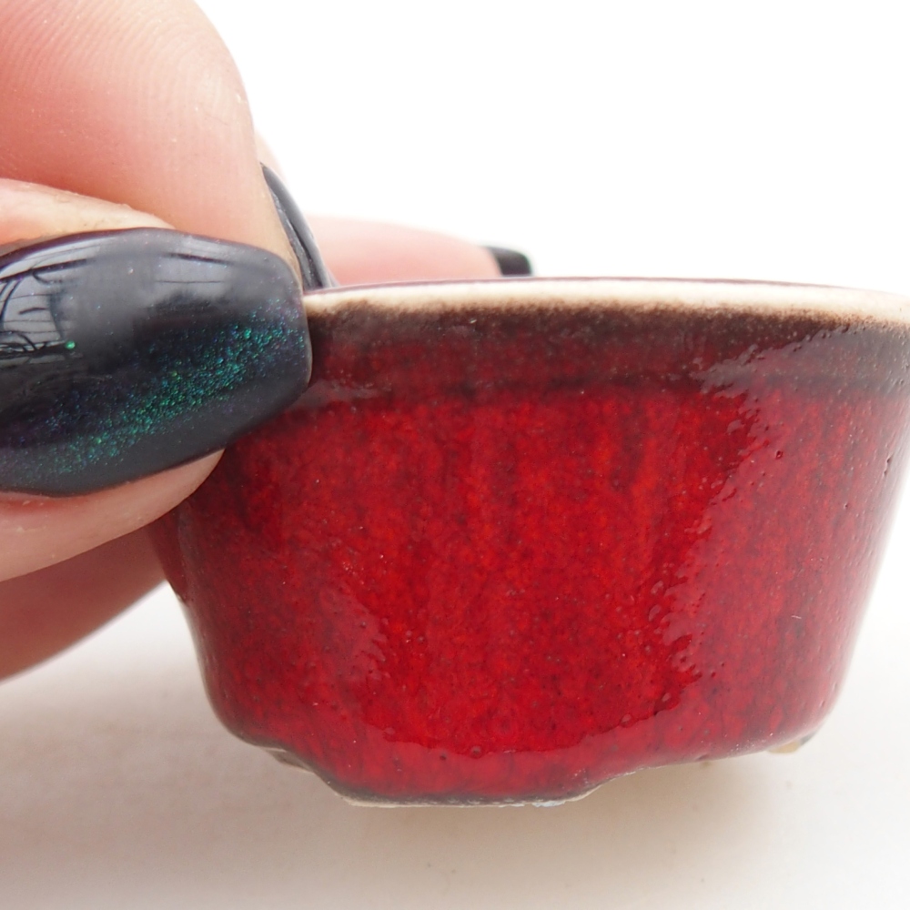 Mini bol bonsaï 4,5 x 4,5 x 2,5 cm, couleur rouge