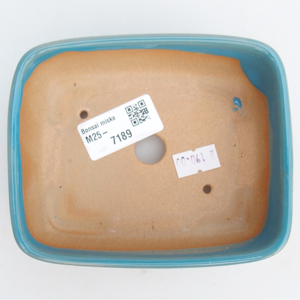 Bol à bonsaï en céramique 12 x 10 x 4 cm, couleur bleu
