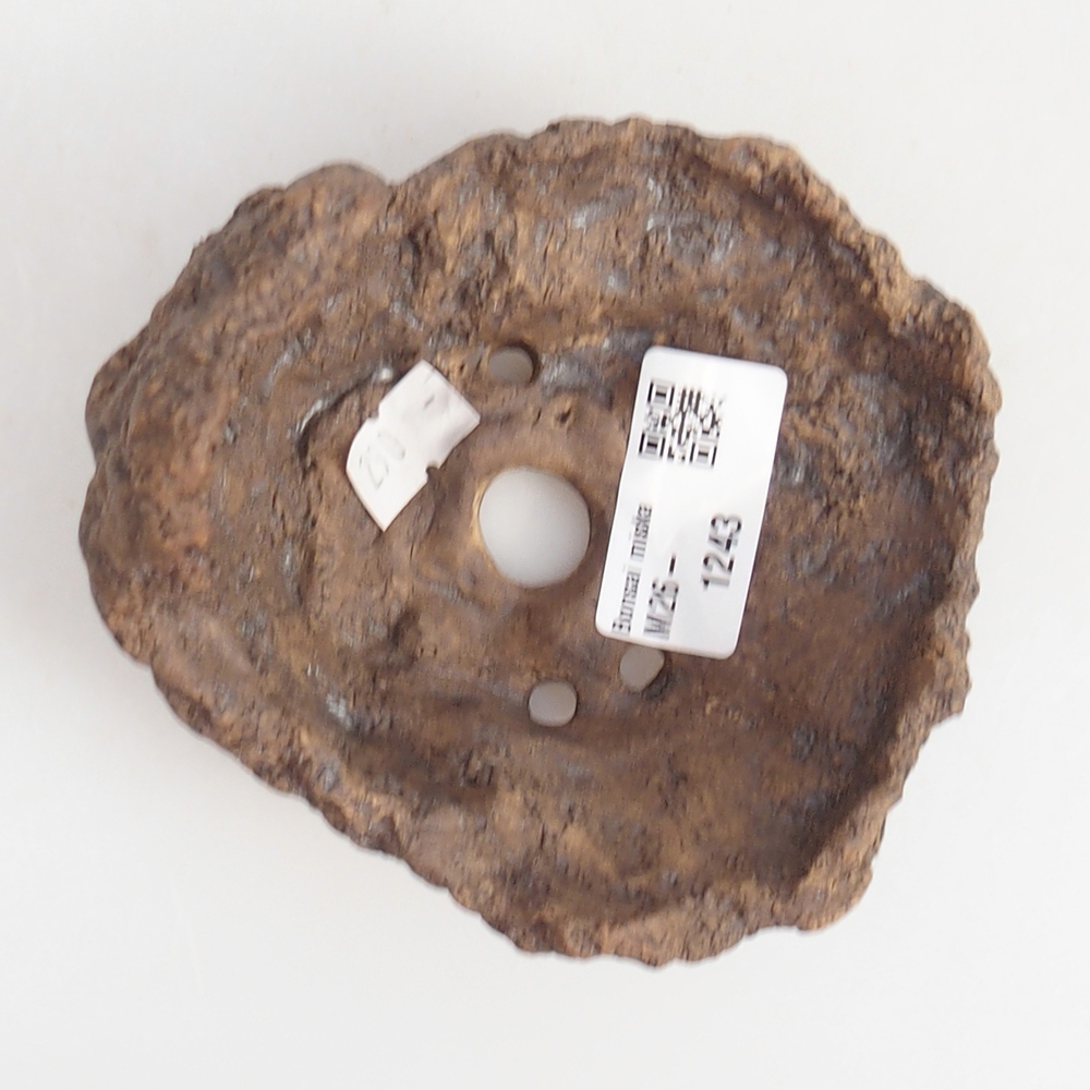 Coquille en céramique 10 x 9 x 9 cm , couleur marron