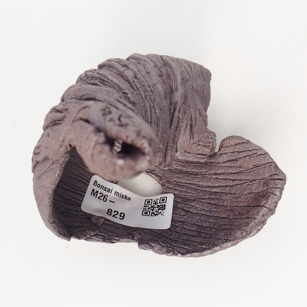 Coquille en céramique 8 x 9 x 14 cm , couleur métallique