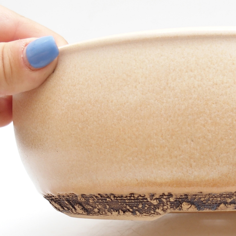 Bol à bonsaï en céramique 21,5 x 21,5 x 7 cm, couleur beige