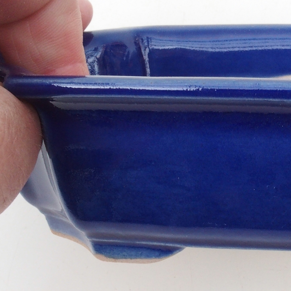 Coupe bonsaï H17 - 15 x 10 x 4 cm - bleu