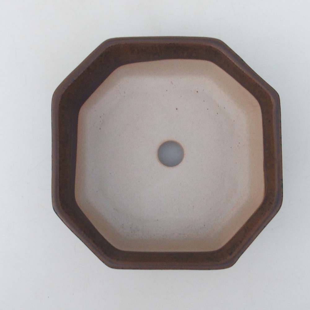 Coupe bonsaï H13 - 12,5 x 12,5 x 4,5 cm - bleu