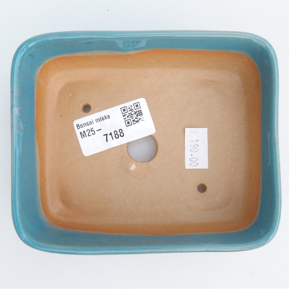 Bol à bonsaï en céramique 12 x 10 x 4 cm, couleur bleu