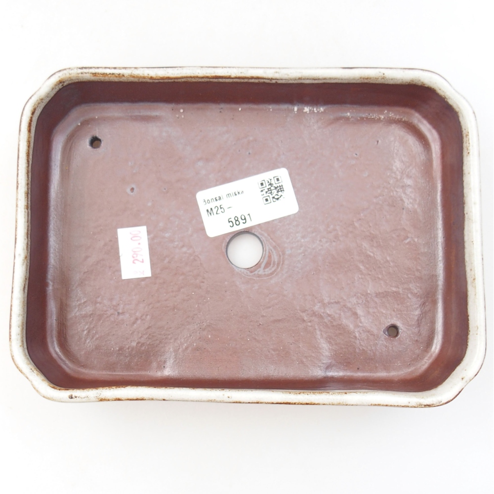 Bol à bonsaï en céramique 22 x 17 x 5 cm, vert