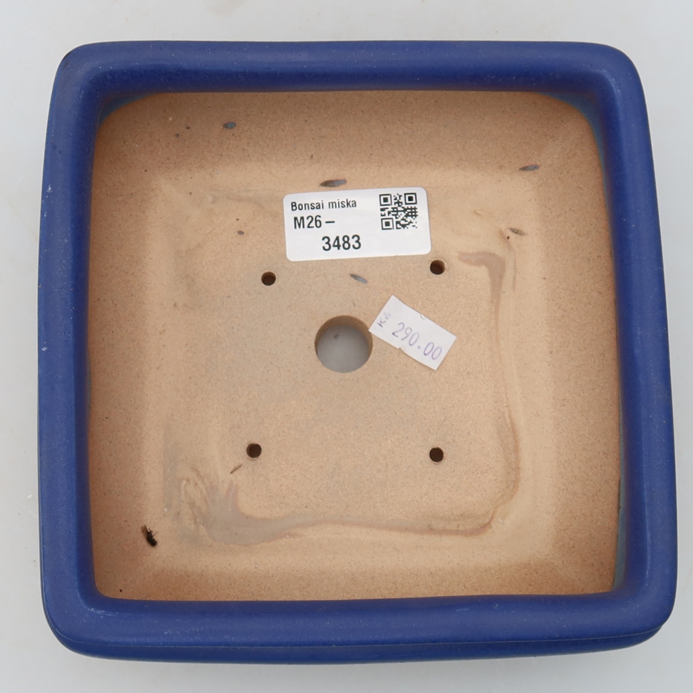 Bol à bonsaï en céramique 15,5 x 15,5 x 6 cm, couleur bleu