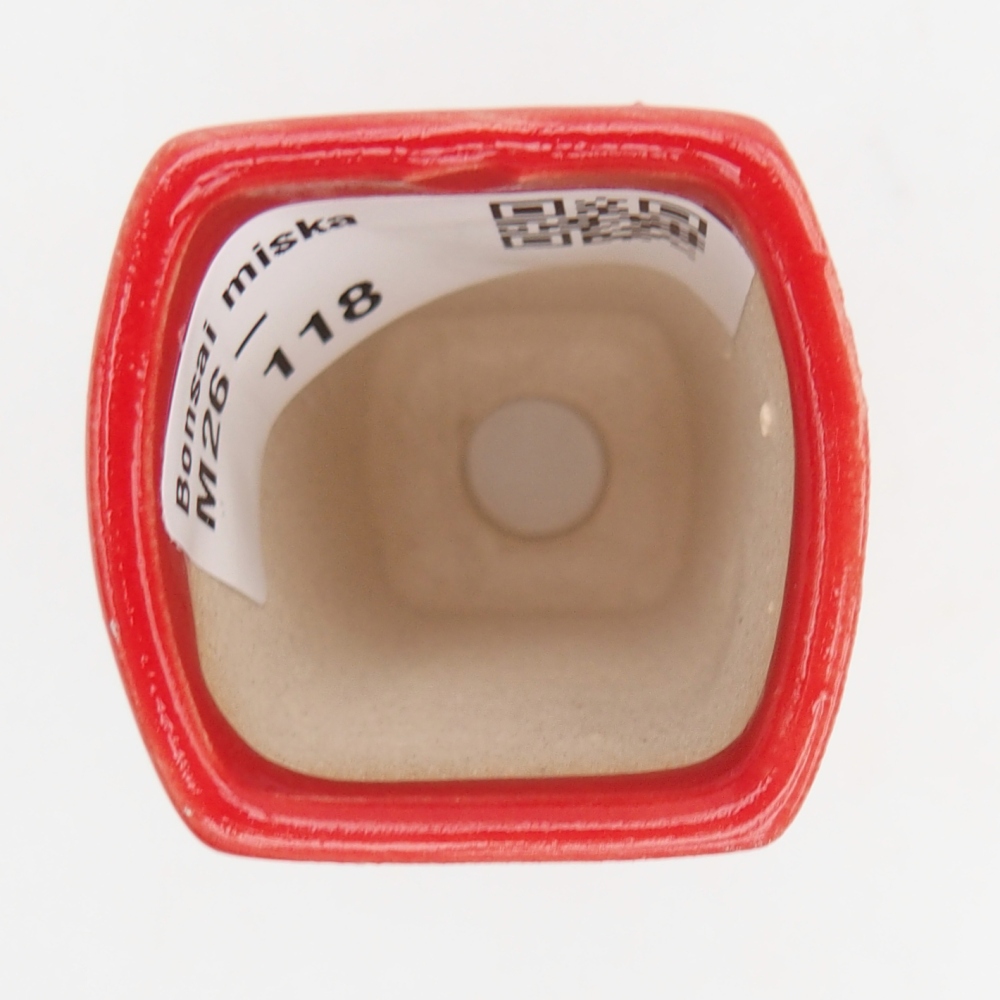 Mini bol bonsaï 3,5 x 3 x 5,5 cm, couleur rouge