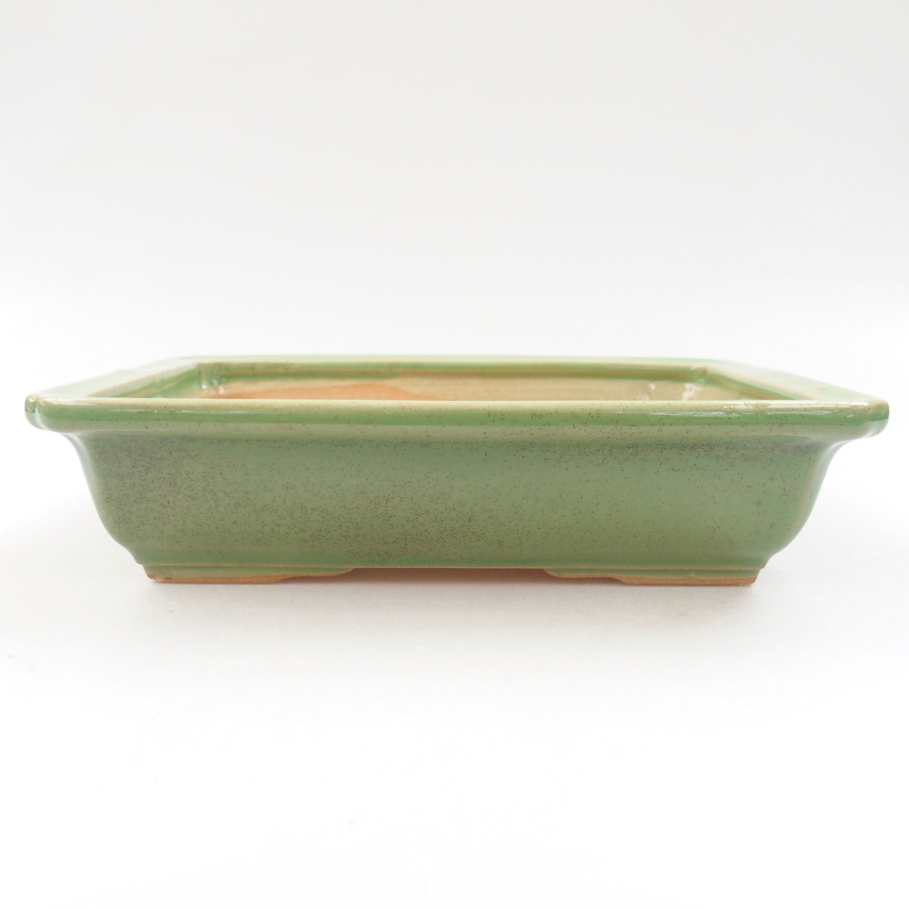 Bol à bonsaï en céramique 22 x 17 x 5 cm, vert