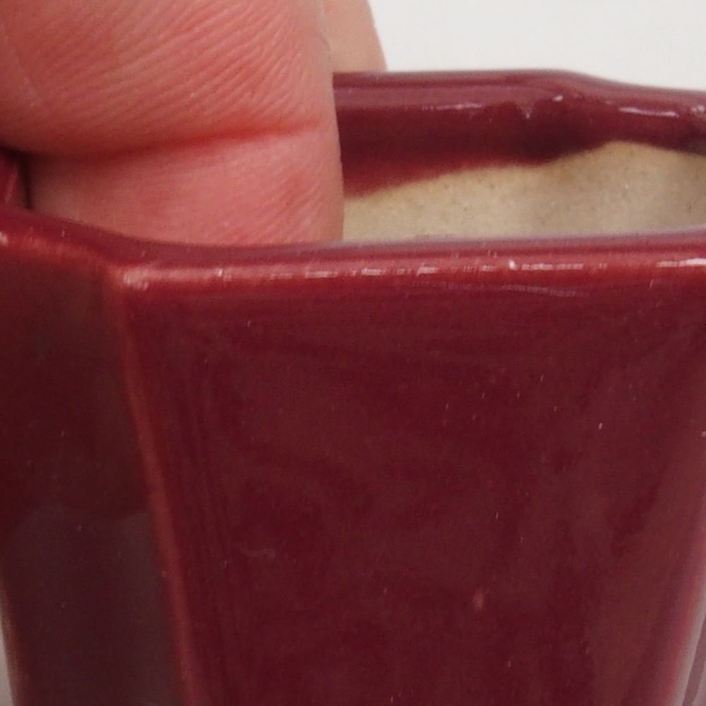 Mini bol bonsaï 4 x 4 x 4 cm, bordeaux